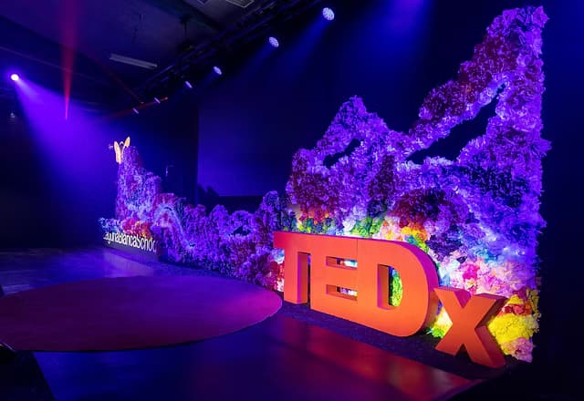 Speaker on a TEDx-style live event stage